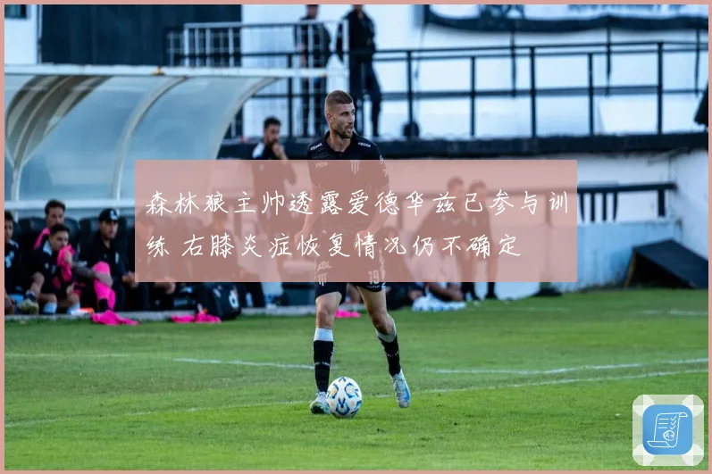 森林狼主帅透露爱德华兹已参与训练 右膝炎症恢复情况仍不确定