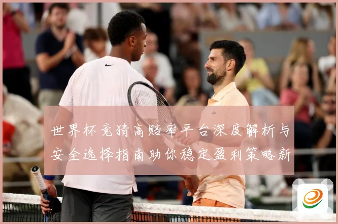 世界杯竞猜高赔率平台深度解析与安全选择指南助你稳定盈利策略新思路