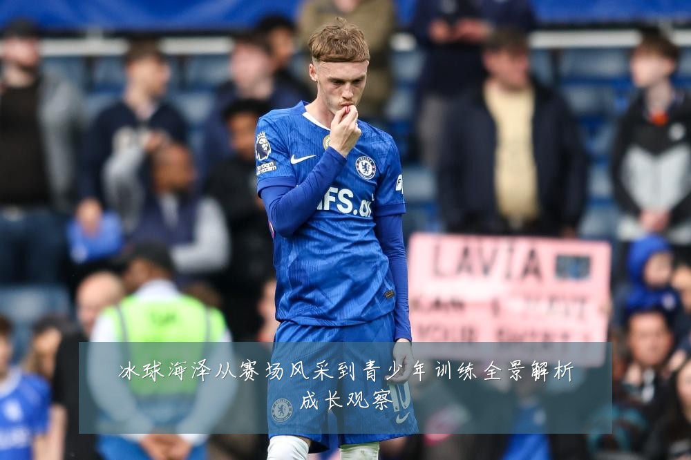冰球海泽从赛场风采到青少年训练全景解析成长观察