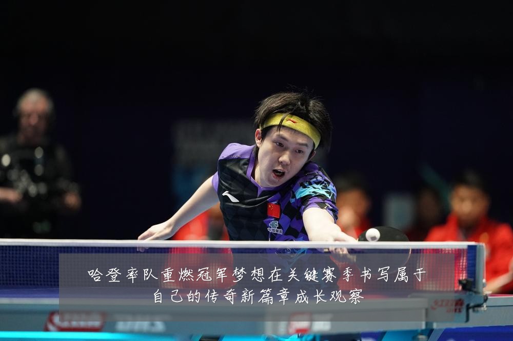 哈登率队重燃冠军梦想在关键赛季书写属于自己的传奇新篇章成长观察