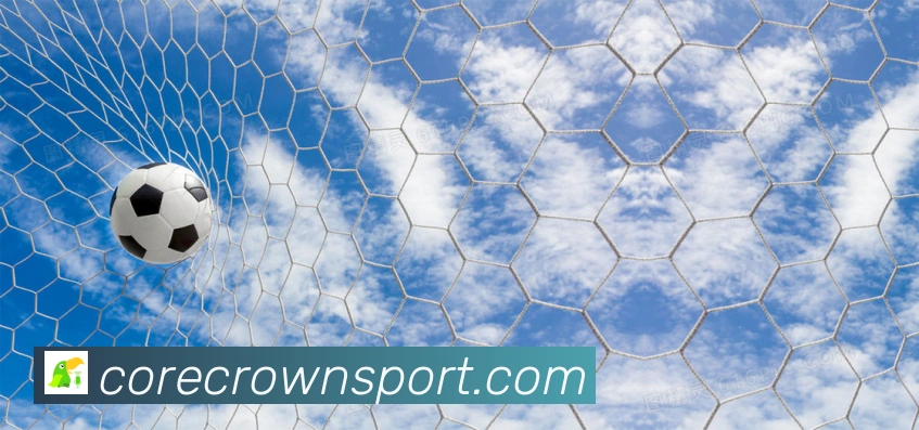体育数据展示